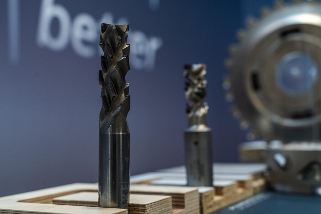 DSC08852-kopia-1024x683 Witaj !